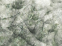 Tapeta ścienna Umbra od Wallcraft  Art. 390 32 2101 zielona