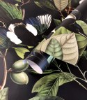Magpie Black Tapete von Wallcolors
