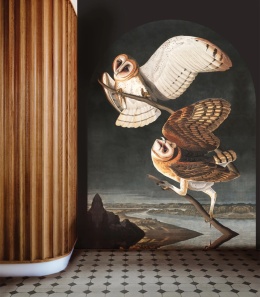Tapeta Owls od Wallcolors