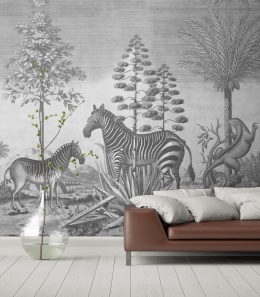 Zebra On Agave wallpaper by Wallcolors
