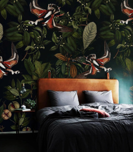 Orange Bird wallpaper by Wallcolors