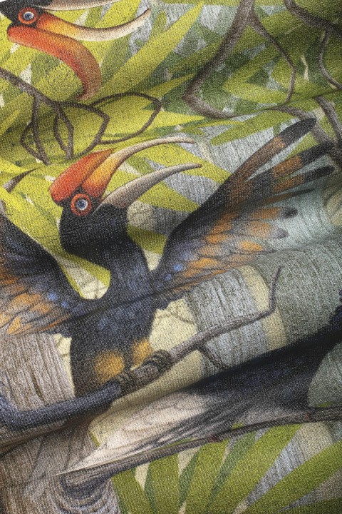 Tapeta ścienna Hornbill 35 0841 05