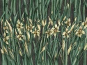 Narcise wall wallpaper from Wallcraft Art. 445 32 2102 green