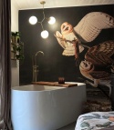 Owls wallpaper by Wallcolors