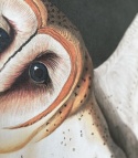Owls Tapete von Wallcolors