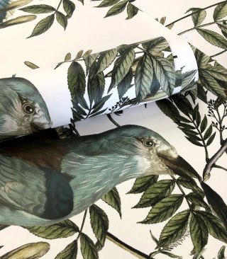 Birds In Garden Ecri wallpaper by Wallcolors