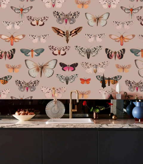 Colorful Butterfly Pink wallpaper by Wallcolors