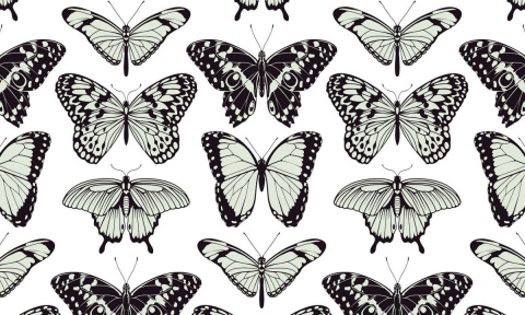 Eco-Wand-Tapete Schmetterling